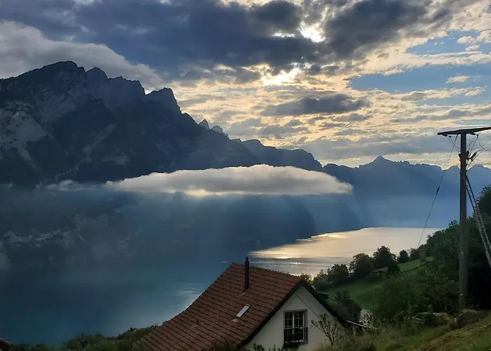 Panorama *