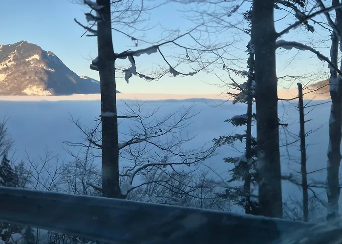 Panorama *