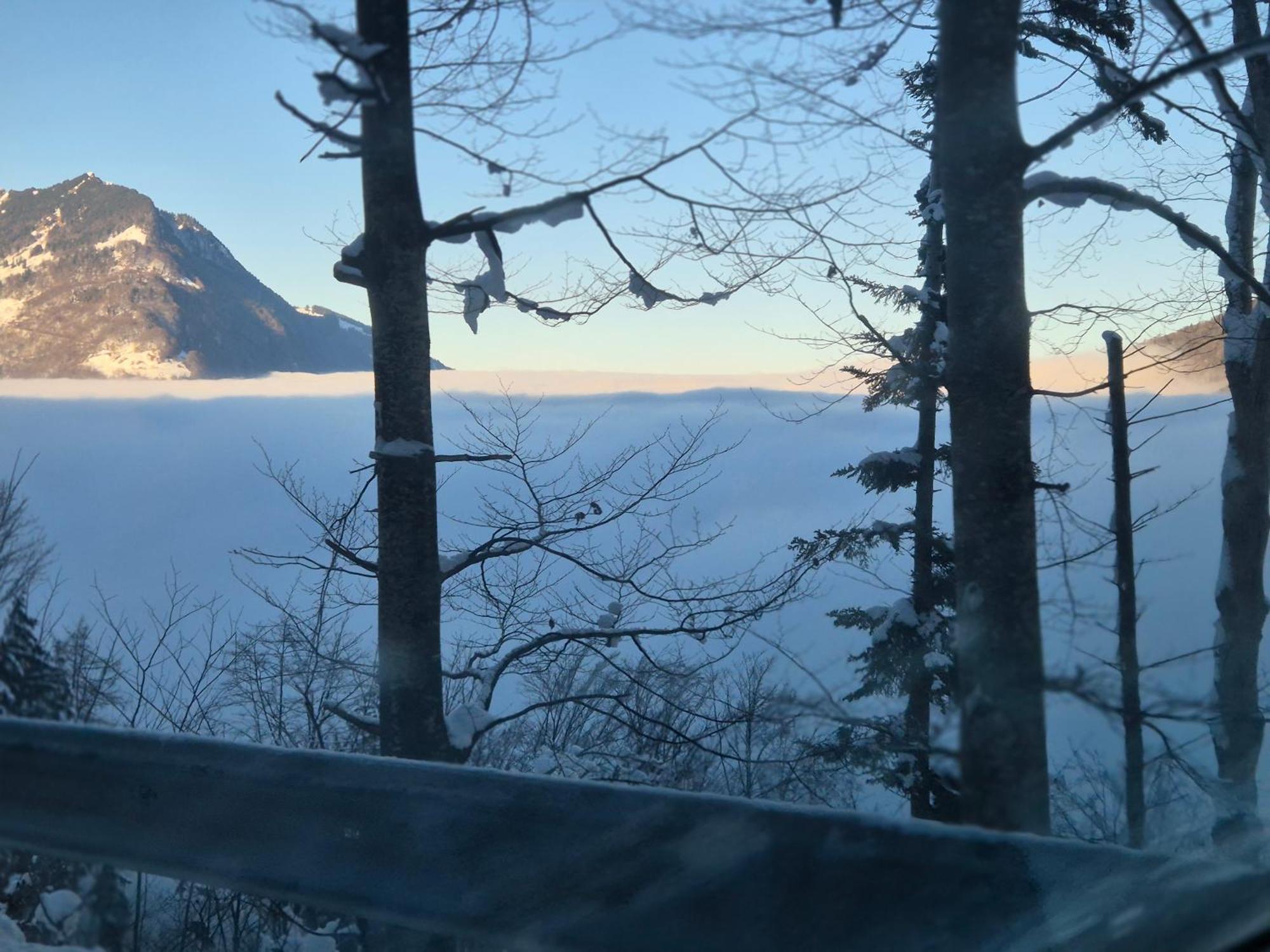Panorama * *